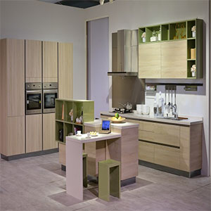  德瑞邦橱柜<br>德国进口双饰面系列